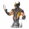 Diamond Marvel Comic - Brown Wolverine Bust (23cm) (FEB232186)